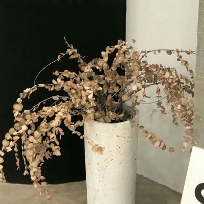 邻水福瑞交流群